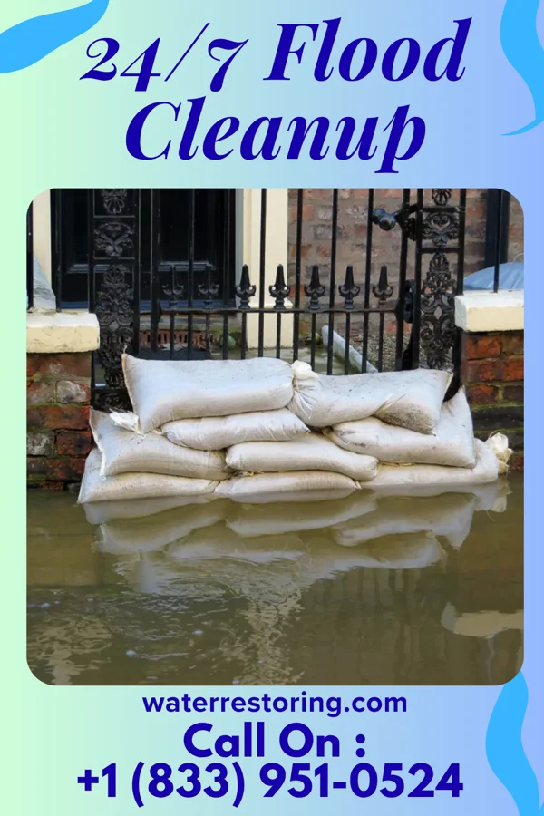 24/7 Flood Cleanup in Lily Lake, WI