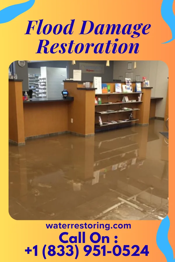 Flood Damage Restoration in Lily Lake, WI