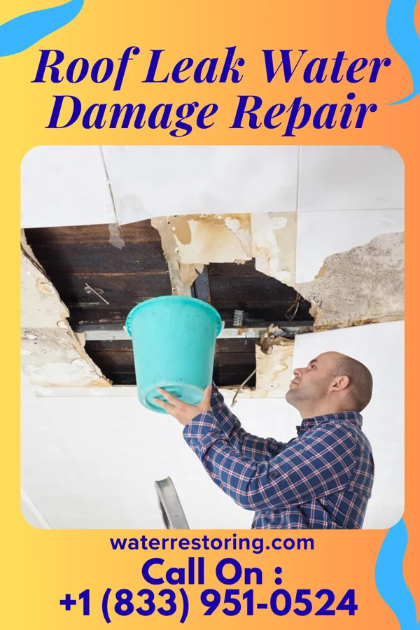 Roof Leak Water Damage Repair in Lily Lake, WI