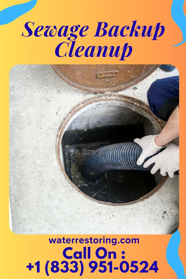 Sewage Backup Cleanup in Lily Lake, WI