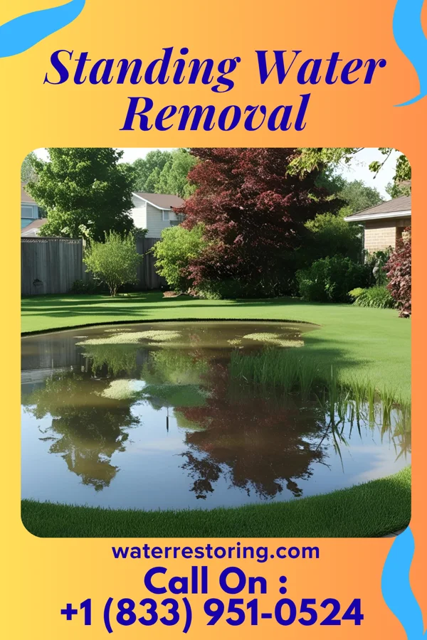 Standing Water Removal in Lily Lake, WI